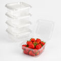Alpha Basics Pack of 25 Rectangular 250ml Hinged Dessert Packaging Bakery Clamshell Snack Packaging Box