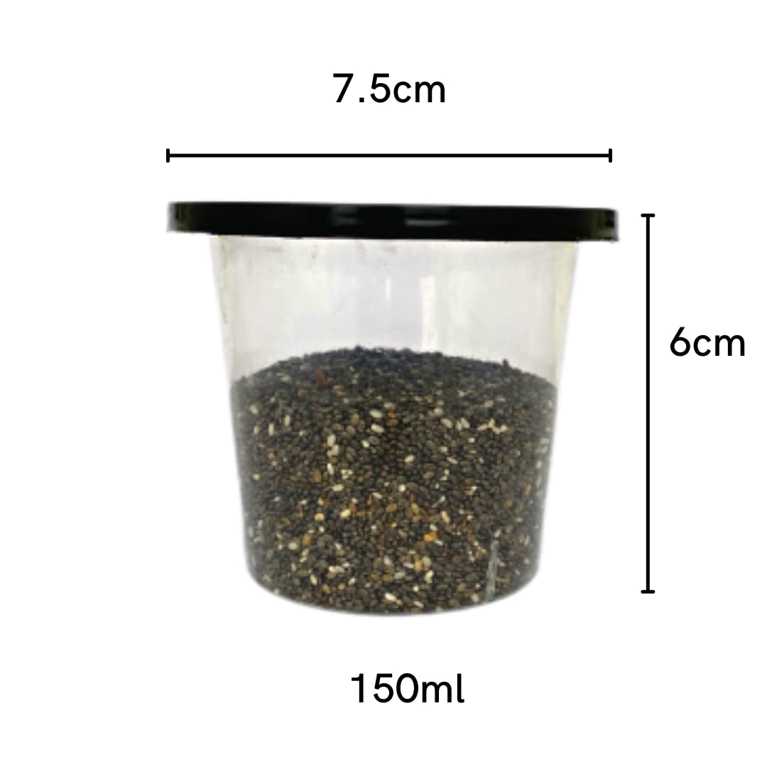Alpha Basics 150ml Plastic Mini Kitchen Storage Boxes (Pack of 20)