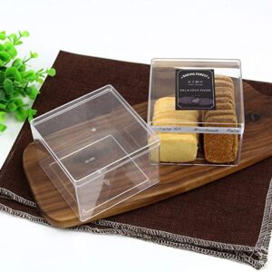 Alpha Basics Plastic Dessert Box Cake Tub with lid (Pack of 5)