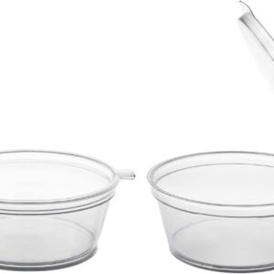 Alpha Basics 25ml (Pack of 100) Plastic mini container with Attached Lid Multipurpose Packaging cups with transparent body